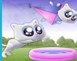 Safari Connect - Games House10