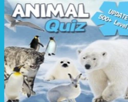 Quick Quiz - Games House3