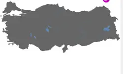 חידון משוגע2