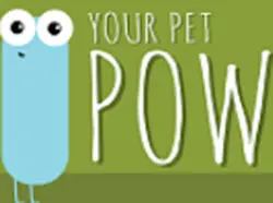 מאסטר בכדורסל5